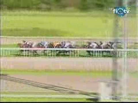 MAGNA AUSTRIAN DERBY 2007