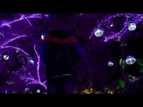 Treflip101 - "I Don't Care Anymore" ft. MoneyGramGarcia