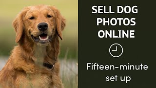 How to sell dog photos, prints & digitals online in 2021 - 15 minute set up