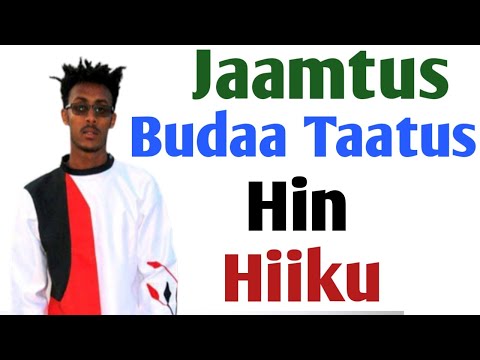 Jaamtus Budaa Taatus Hin Hiiku