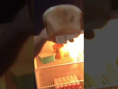 viajante solitário em chá do Pilar Alagoas