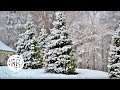 Rural Rhythm Records - Bluegrass Christmas [Bluegrass Visualizer]