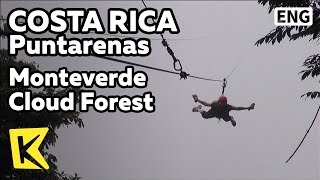 【K】Costa Rica Travel-Puntarenas[코스타리카 여행-푼타레나스]몬테베르데 운무림, 정글/Monteverde Cloud Forest/Jungle/Bungee