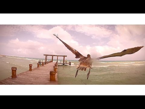 PHIL VOLTAGE - SAVE ME NOW (feat Thallie) - OFFICIAL VIDEO
