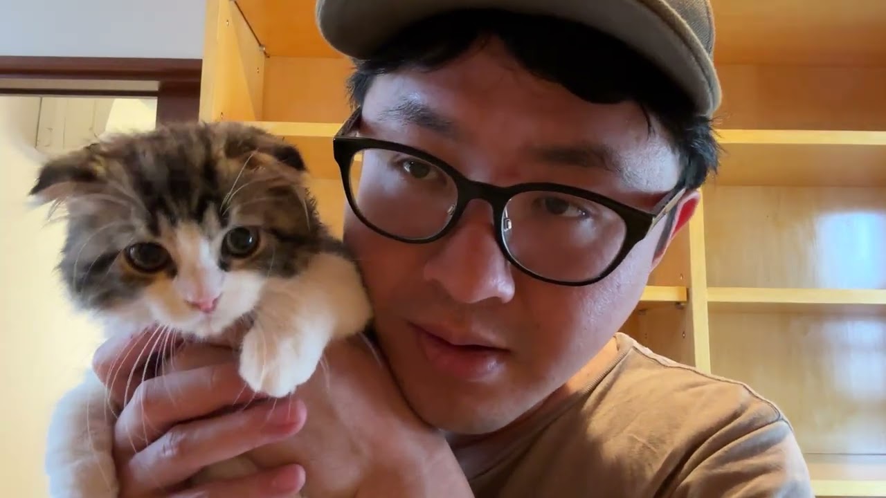 全然違う！新しい家の感想をシトラピに聞いてみた！