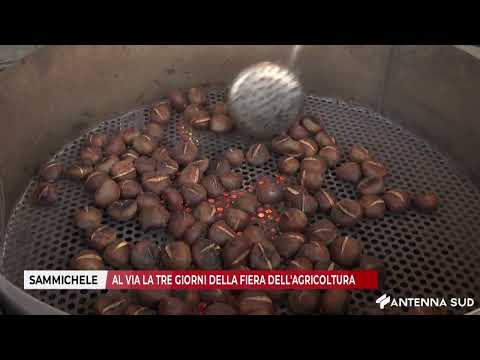 25 OCTOBER 2025 SAMMICHELE DI BARI, THE THREE-DAY AGRICULTURAL FAIR UNDERWAY