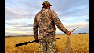 Spot And Stalk Sandhill Crane Hunt