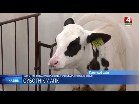 Субботник в агропромышленном комплексе прошёл на Гомельщине видео