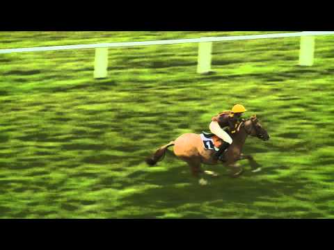 4. 10. 2014 Dostihy neregistrovaných koní