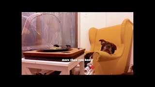 HOAX - more than you know (Lyric Video)