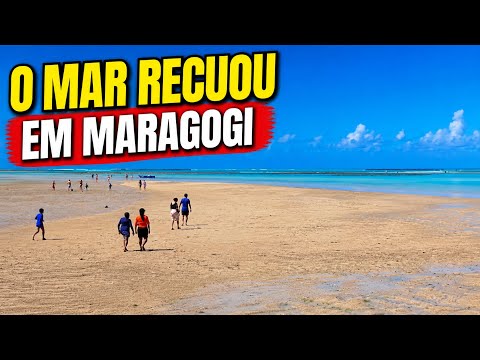 O MAR RECUOU EM MARAGOGI ALAGOAS | Você Já Viu Isso?