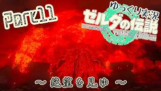 【TotK】手と手が繋ぐ物語　part11【ゆっくり実況】