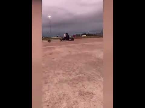 funniest animal videos of 2022 - funny golden retriever btdogs and cutest golden puppies  V.18207 #