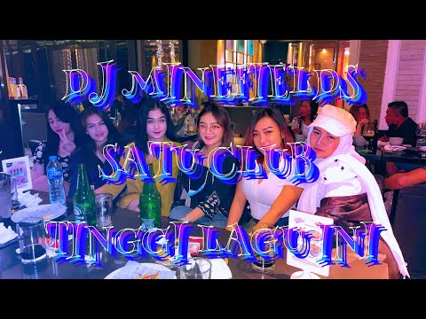 DJ MINEFIELDS VIRAL TIKTOK X DJ MONEY LISA PARGOY