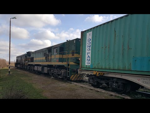 Locomotives SRB-SKG 661-119 & SLO-SŽ 644-016 " / COSCO Freight train (NS-PA) / Titel,  20. 02  2022.
