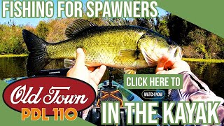Fishing For Spawners in the Kayak