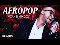 Afropop Mzansi Mix 2024 | Dj Webaba