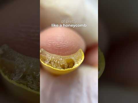 Didn’t expect to find this inside her nails 🐝 #nailcou