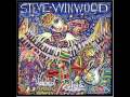 Steve Winwood - Why Can't We Live Together