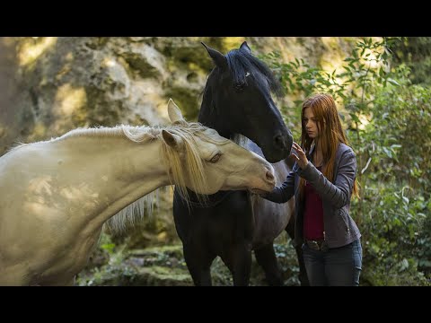 WINDSTORM 3 RITORNO ALLE ORIGINI - Clip