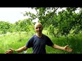 О канале МОЕ ПЧЕЛОВОДСТВО / My Beekeeping