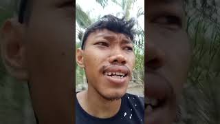 Download lagu perjalan waktu bersamamu terasa bergembira di hati ada namamu#sorotan #followforfollowback #like mp3