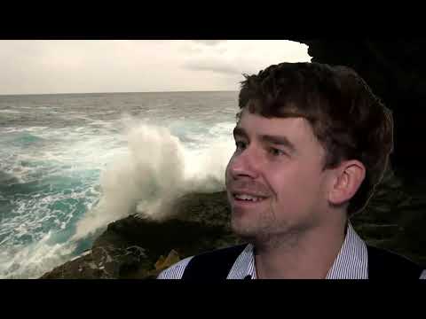 Dunkle Haut, blaue Augen - "Genetisch sind wir Europäer Afrikaner" (dctp.tv)