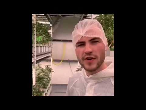 Cannergrow  Cannabisfarm.