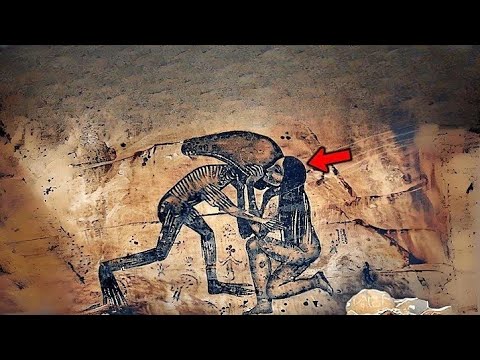 フランスで考古学的発見:謎の儀式が研究者を混乱させる