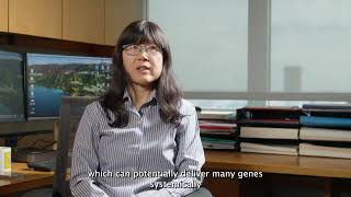 Innovator of the Year Finalist: Lei Cao | College of Medicine