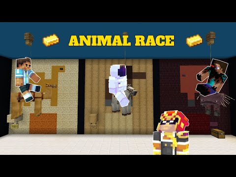  Animal Race 