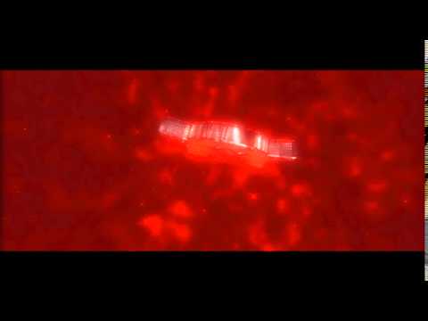 INTRO For xSzn Artz :DD (That C4D SYNC+CC)