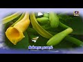 Promo Pon Vilaiyum Bhoomi 02 11 2020
