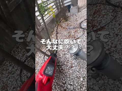 庭の枯れ葉をどう活用するか？それらを分解するためのヒントとテクニック  庭園