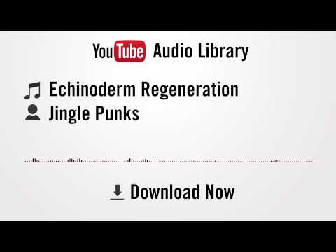 Echinoderm Regeneration - Jingle Punks (YouTube Royalty-free Music Download)