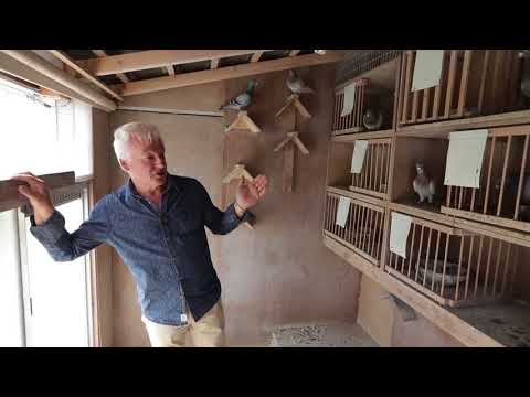 Nationale winnaars ZLU 2017 Narbonne Nico van den Hurk Oss