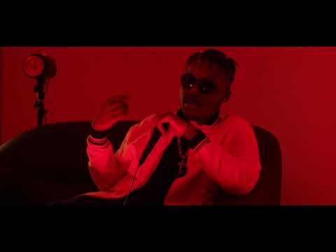The F.A.K.E Music Video