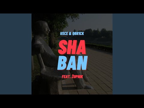 Shaban (feat. Župnik)