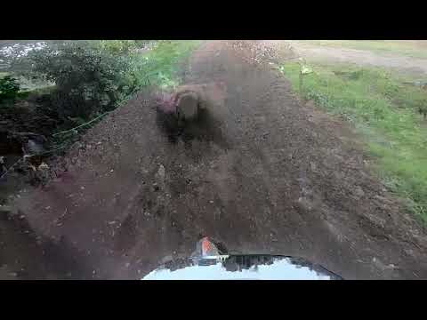 AMCA CHAMPIONSHIP 2021 Rd 6 VETS race 3 Coleorton Mx track 18 July