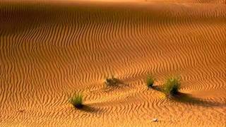 The Shifting Whispering Sands as done by Jim Reeves   YouTube