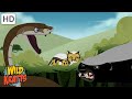 Creature Battles Every Creature Showdown Part 1 13 Wild Kratts