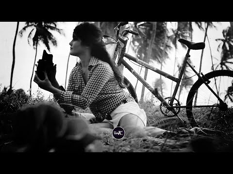 Royal Bliss - Dreamer / Live (Video Edit)