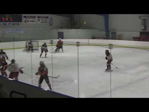 Sophomore Season - ACHA D1 Concordia University