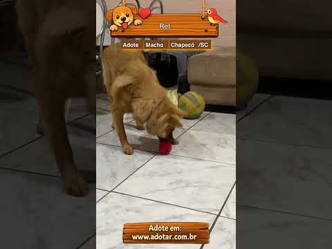 Vídeo de Ret