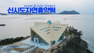 [#트래블숲] 바다를 품은 국립신시도자연휴양림