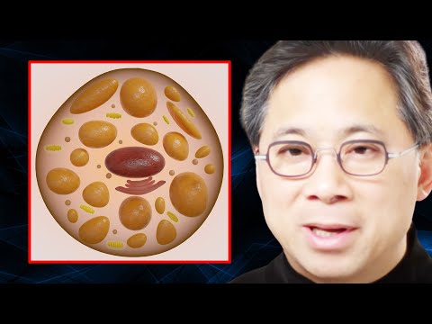 The TRUTH About Body Fat (Hint： It’s Not All Bad) ｜ Dr. William Li