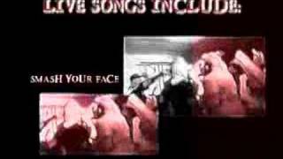 Wisdom in Chains-Die for Us Live DVD