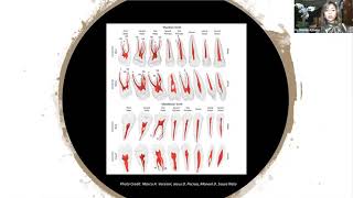 Dental Treatment: Cementation Solutions Mar 9, 2021