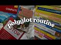 The Language Learning System I Wish I Knew Years Ago