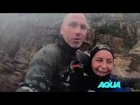 Great White Shark encounter, Eden, NSW.